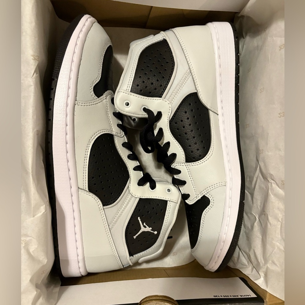 Nike Jordans Access | Brand New and In a Box | Photon Dust Color | US 10.5 size